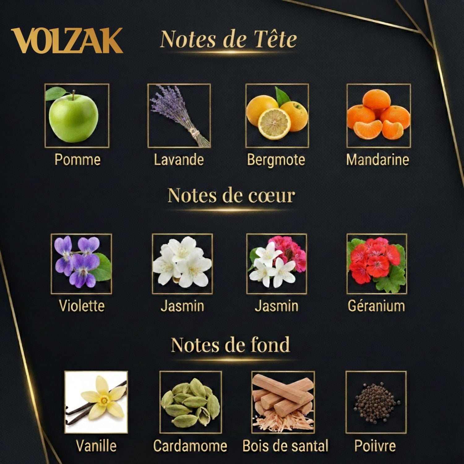VOLZAK PARFUM  NOBLESSE INTENSE 100ML HOMME